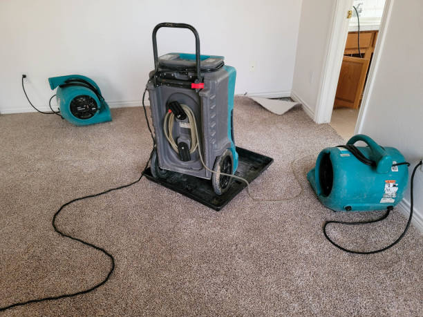 Best 24/7 water damage repair  in Neptune City, NJ