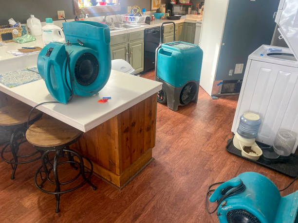 Best Flooded house restoration  in Neptune City, NJ