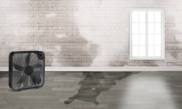 Best Water damage restoration cost  in Neptune City, NJ